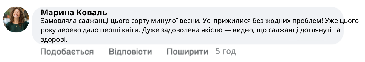 Заголовок