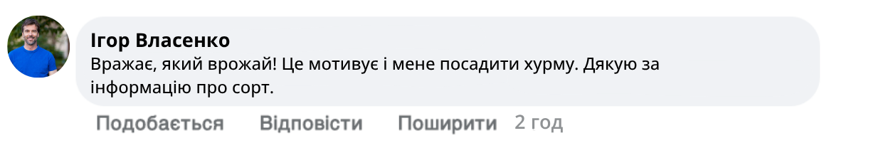 Заголовок