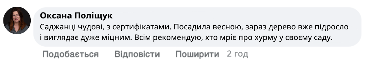 Заголовок