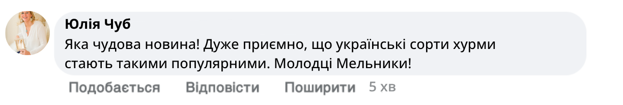 Заголовок