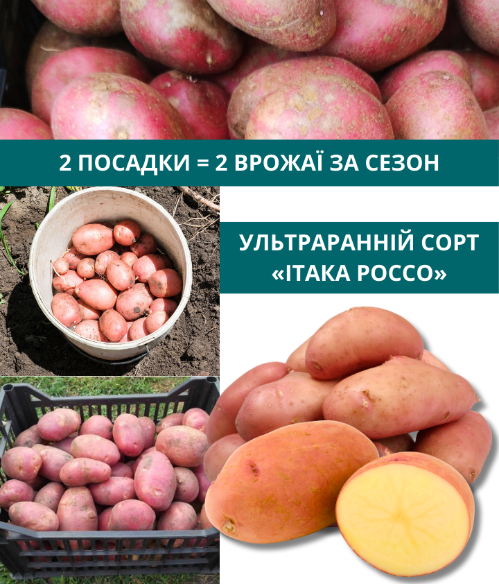 Заголовок