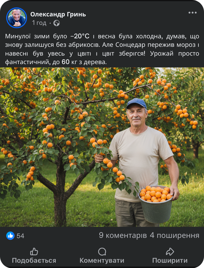 Заголовок