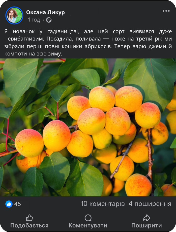 Заголовок